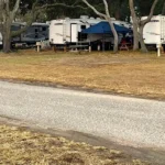 Row of large white RVs and travel trailers parked under trees along a paved road, with picnic tables, a blue canopy, and dry grass in a sunny campground setting.