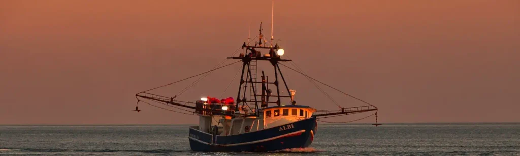 Blue fishing boat named ALBI with outriggers extended, steaming across calm water under a warm orange sunset sky, lights glowing on the mast and cabin.

