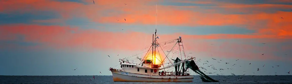 White fishing boat silhouetted against a vibrant orange and pink sunset, nets hanging from the side, with a flock of seagulls flying around it over the ocean.

