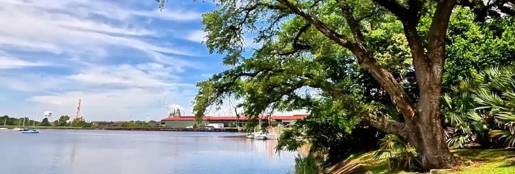 Calm waterfront view with a large leafy tree on the right, industrial buildings and a red-roofed structure across the water, small boats, and a bright blue sky with wispy clouds.

