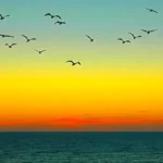 Flock of birds flying in silhouette across a vibrant orange-to-yellow sunset sky above a calm dark-blue ocean horizon.