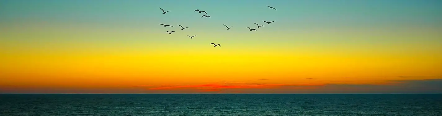 Flock of birds flying in silhouette across a vibrant orange-to-yellow sunset sky above a calm dark-blue ocean horizon.