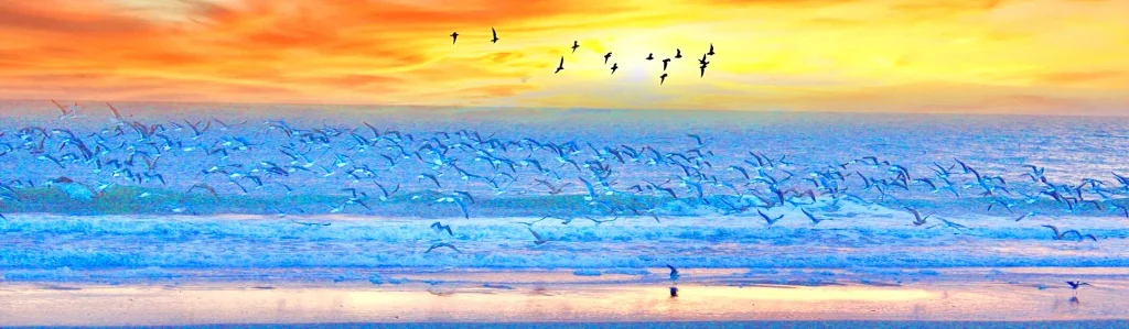Large flock of birds flying low over blue ocean waves under a vivid orange-and-yellow sunset sky, with a few silhouettes higher up.  

